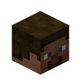 Skiny Minecraft